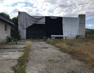 Telek eladó on Capusu Mare