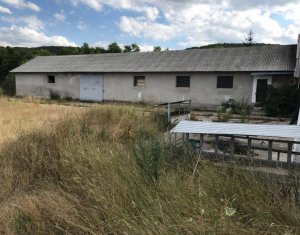 Telek eladó on Capusu Mare