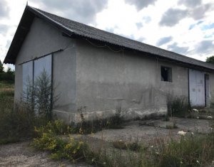 Telek eladó on Capusu Mare