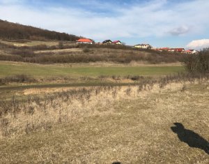 , 5500m2 on Cluj-napoca