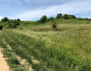 Telek eladó on Cluj-napoca