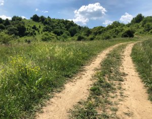 Telek eladó on Cluj-napoca