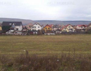 Maison 4 chambres à vendre dans Cluj-napoca