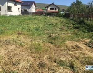 Ház 3 szobák eladó on Cluj-napoca