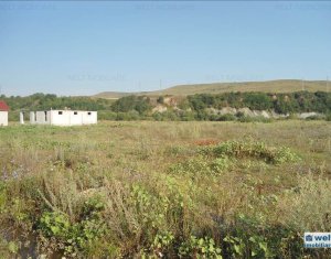Terrain à vendre dans Cluj-napoca