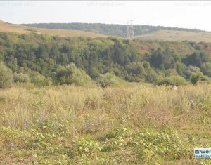 Terrain à vendre dans Cluj-napoca
