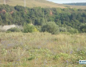 Terrain à vendre dans Cluj-napoca