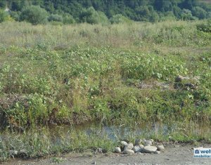 Terrain à vendre dans Cluj-napoca