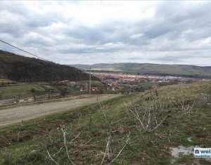 , 1200m2 on Cluj-napoca