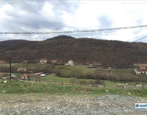 Terrain à vendre dans Cluj-napoca