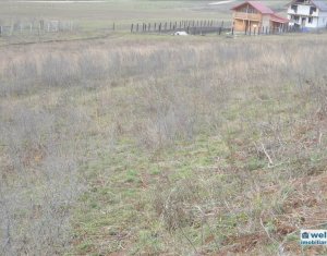 Terrain à vendre dans Cluj-napoca