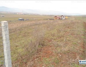 Terrain à vendre dans Cluj-napoca