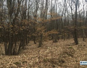 Telek eladó on Cluj-napoca