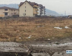 , 2243m2 on Cluj-napoca