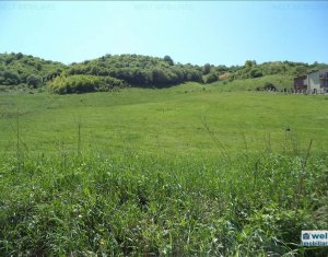 Terrain à vendre dans Cluj-napoca