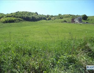 Terrain à vendre dans Cluj-napoca