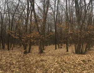 , 2900m2 dans Cluj-napoca