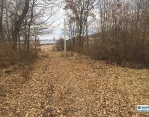 Terrain à vendre dans Cluj-napoca