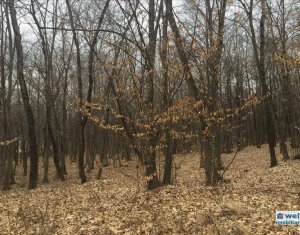 Terrain à vendre dans Cluj-napoca