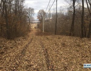 Terrain à vendre dans Cluj-napoca