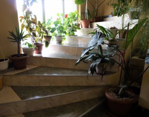 Maison 12 chambres à vendre dans Luna De Sus