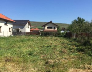 , 1000m2 dans Cluj-napoca