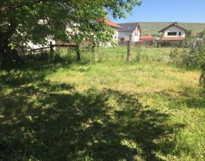 Terrain à vendre dans Cluj-napoca