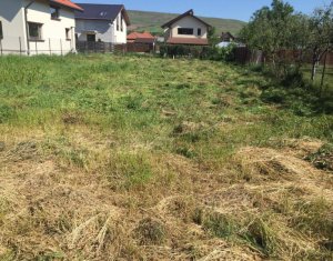 Terrain à vendre dans Cluj-napoca