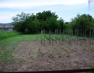 Ház 6 szobák eladó on Gilau