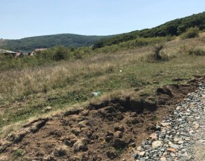 , 3200m2 on Cluj-napoca