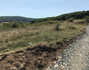 Telek eladó on Cluj-napoca