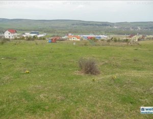 Terrain à vendre dans Cluj-napoca