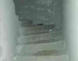 Ház 4 szobák eladó on Cluj-napoca