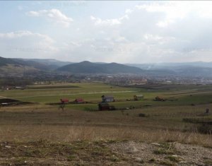 , 1500m2 on Cluj-napoca