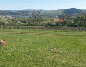 Telek eladó on Cluj-napoca