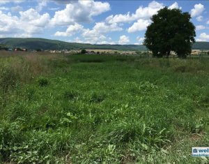 , 2880m2 dans Cluj-napoca