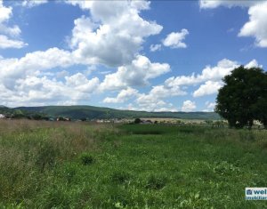 Terrain à vendre dans Cluj-napoca