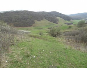 , 1200m2 on Cluj-napoca