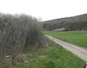 Telek eladó on Cluj-napoca
