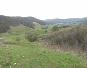 Telek eladó on Cluj-napoca