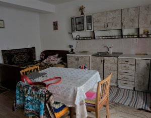 Appartement 1 chambres à vendre dans Cluj-napoca