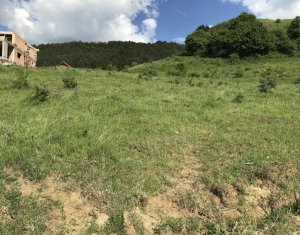 Terrain à vendre dans Cluj-napoca