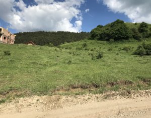 Terrain à vendre dans Cluj-napoca