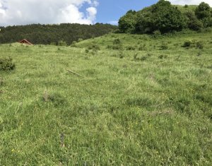 Terrain à vendre dans Cluj-napoca