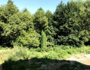 , 62m2 on Cluj-napoca