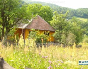 Maison 2 chambres à vendre dans Valea Draganului
