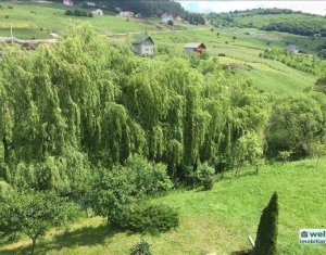 Ház 8 szobák kiadó on Cluj-napoca