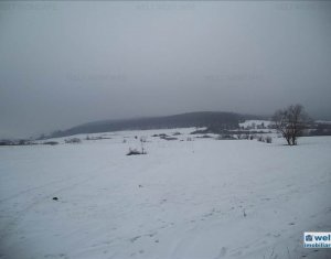 Terrain à vendre dans Gilau