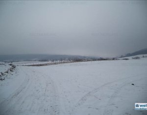 Terrain à vendre dans Gilau