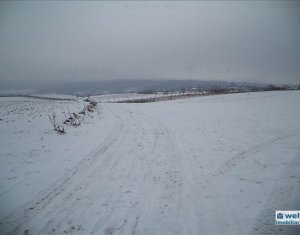Terrain à vendre dans Gilau